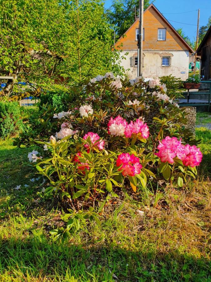 Locations Dupertuis Alsace Le Hohwald Exterior foto