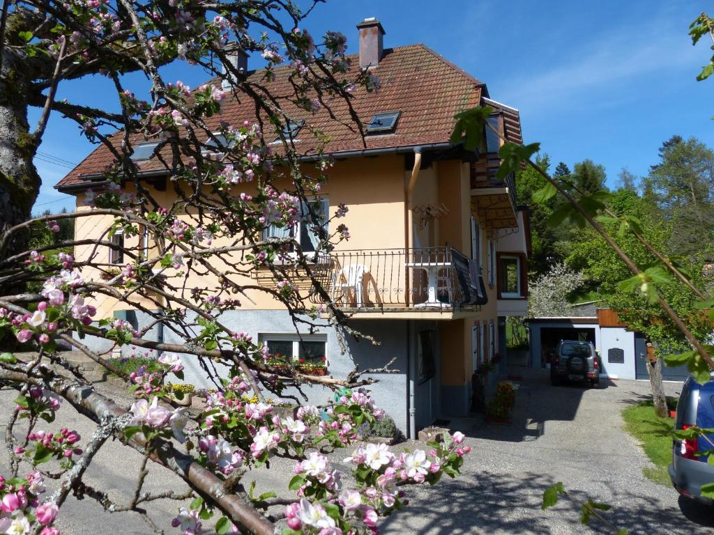 Locations Dupertuis Alsace Le Hohwald Exterior foto
