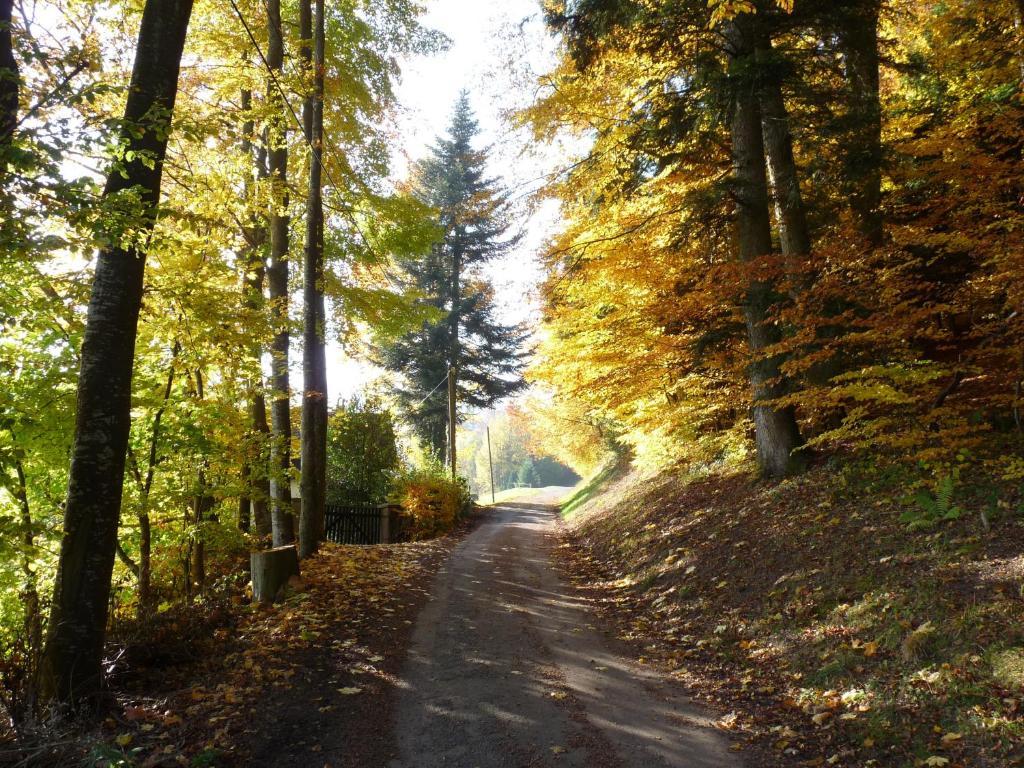 Locations Dupertuis Alsace Le Hohwald Exterior foto