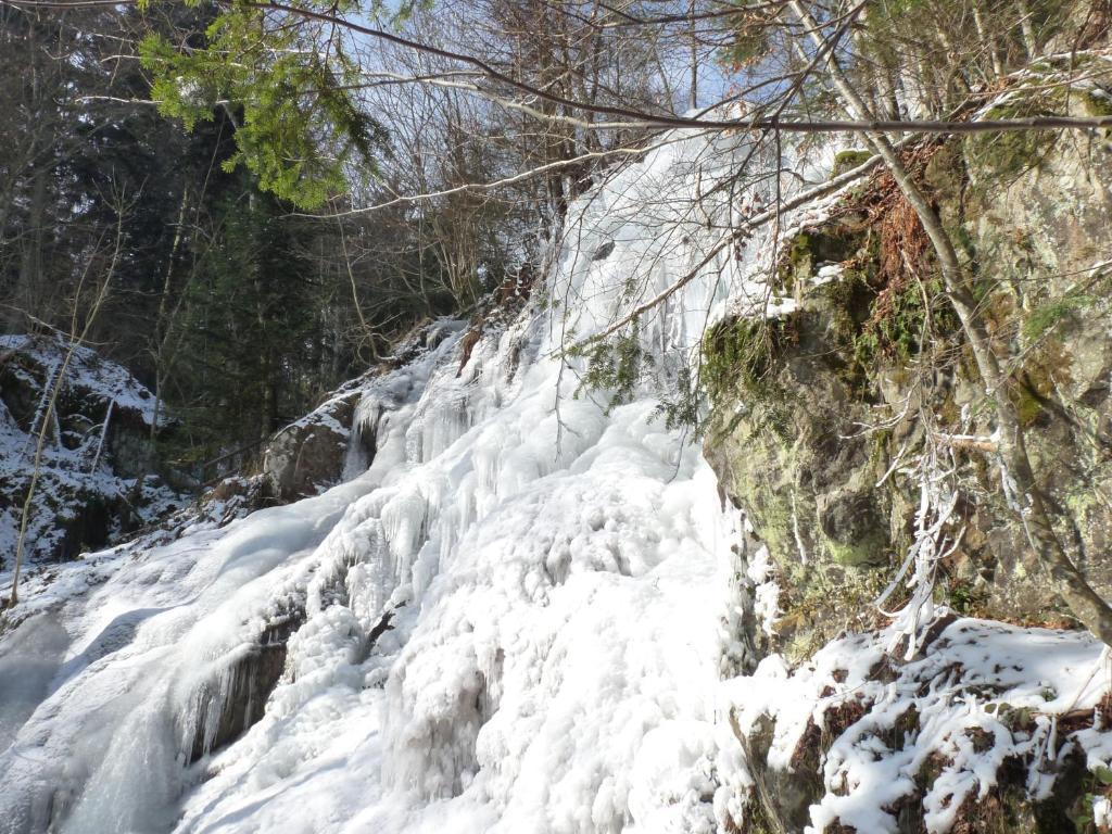 Locations Dupertuis Alsace Le Hohwald Exterior foto