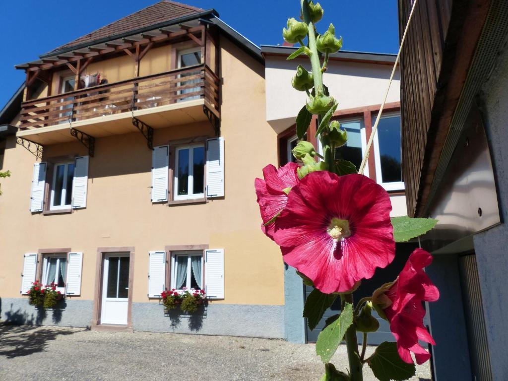 Locations Dupertuis Alsace Le Hohwald Exterior foto